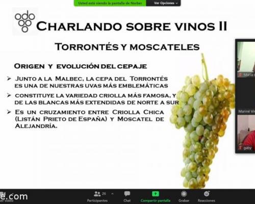 21621 6 Charlando Sobre Vinos II - Repetición