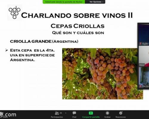 21621 8 Charlando Sobre Vinos II - Repetición