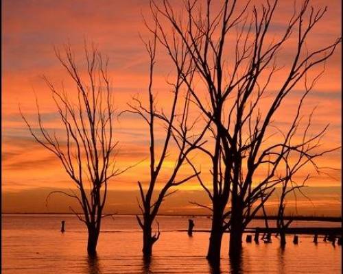 21907 17 Hablemos de Fotografía - Muestra Fotográfica