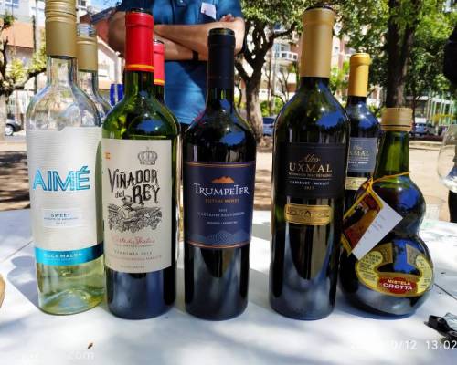 21936 19 TAPEO Y DEGUSTACIÓN DE VINOS EN RAMO MEJIA