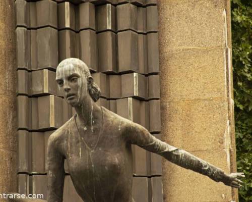 21989 28 Floralis generica  En RECOLETA con distancia barbijo y zapatillas.La pasamos bomba y no nos damos manija.!!!!!