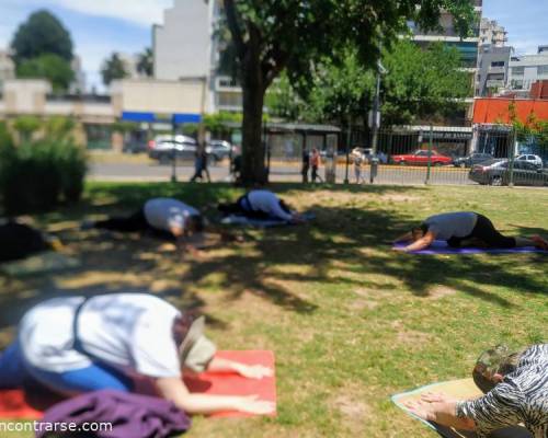 22344 7 Elongación, Flexibilidad,,Oxigenación