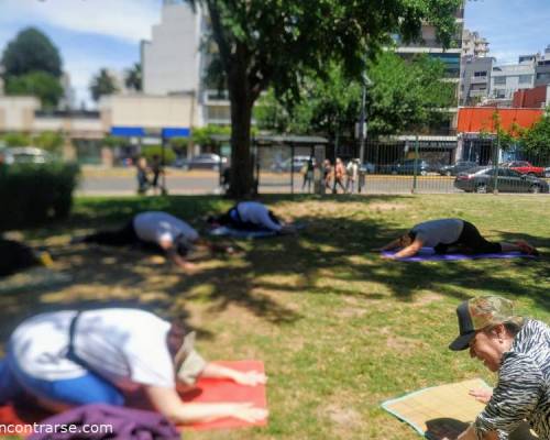 22344 8 Elongación, Flexibilidad,,Oxigenación