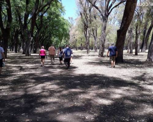 22461 25 VAMOS A PALERMO A CAMINAR DOMINGOS A LA MAÑANA EN GRUPO 