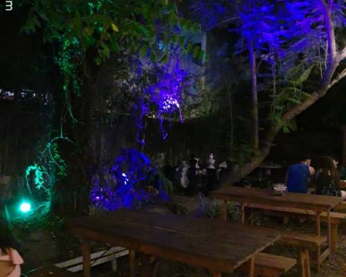 22590 1 JARDINES DE CALEDONIA 