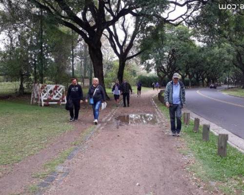 22598 16 VAMOS A PALERMO A CAMINAR DOMINGOS A LA MAÑANA EN GRUPO 