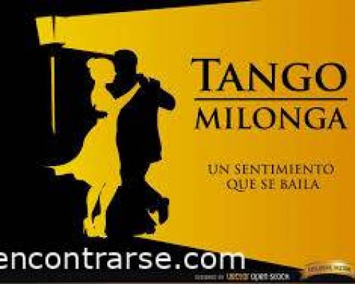 22999 4  Breve reseña histórica de Músicos del Tango Argentino .-