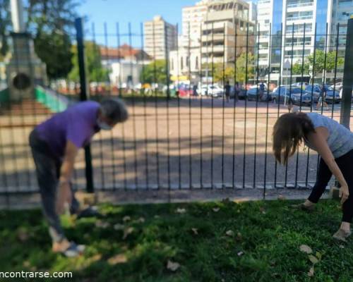 23236 4 ELONGACIÒN, FLEXIBILIDAD. OXIGENACIÒN