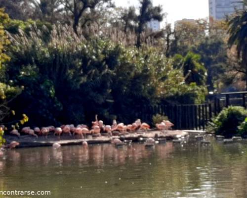 23360 4 ¿ CROQUE MADAME o CROQUE MONSIEUR ? Y DAMOS UN PASEO POR EL ECOPARQUE