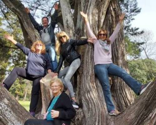 Todos trepados al árbol :Encuentro Grupal OTOÑO EN PARQUE PEREYRA IRAOLA, VAMOS ANTES QUE LAS HOJAS CAIGAN!!!