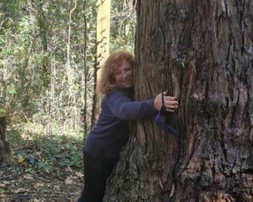 Tomando energia del arbol.. :Encuentro Grupal PARQUE PEREYRA IRAOLA, DISFRUTEMOS DE VER Y RESPIRAR ANTES QUE NOS QUITEN LAS HOJAS!!!