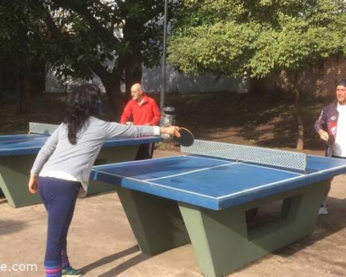 23751 1 PING PONG-Tenis de mesa