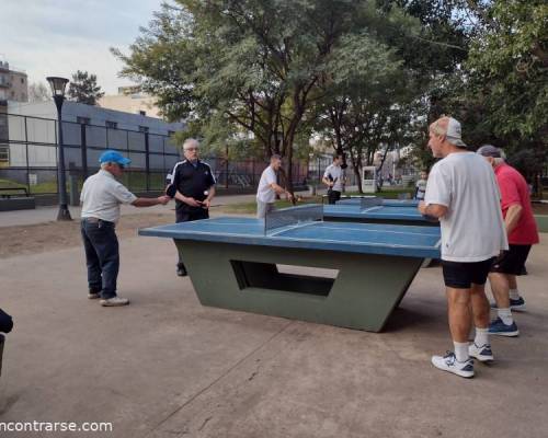 23828 6 PING PONG-Tenis de mesa