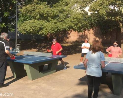 23828 7 PING PONG-Tenis de mesa