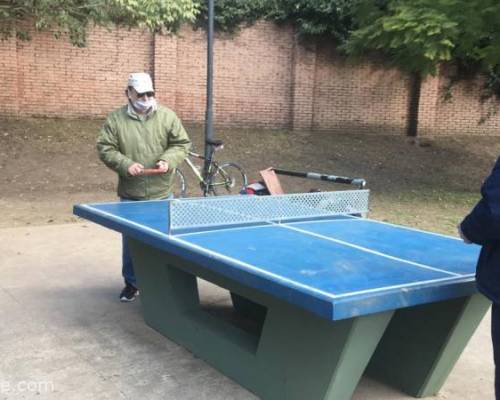 23856 4 Tenis de Mesa