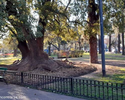 24001 3 Vení a caminar con nosotros por Devoto!