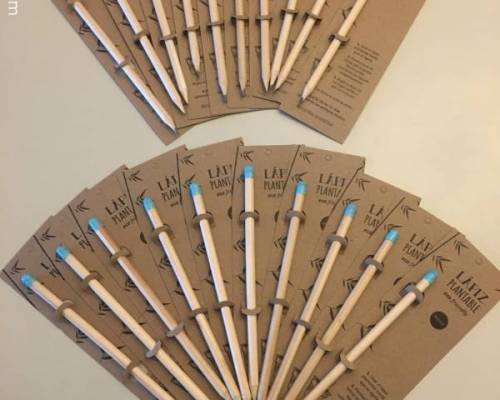 Abanicos de lapices plantables. Lindos y originales souveniers  :Encuentro Grupal CONOCIENDO LOS BODEGONES DE CABA