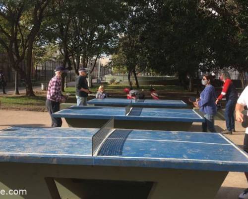 Encuentros Grupales (17/08/2021) :   PING PONG-Tenis de mesa