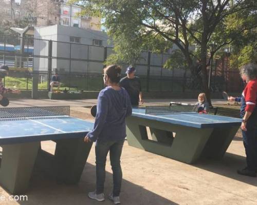 24056 2 PING PONG-Tenis de mesa