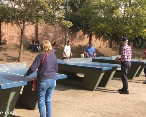 24056 3 PING PONG-Tenis de mesa