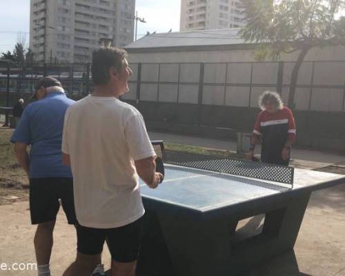 24056 4 PING PONG-Tenis de mesa