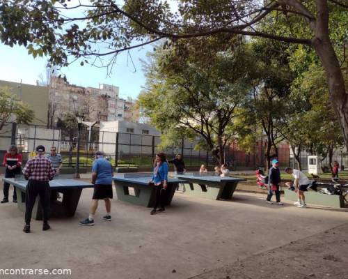 24056 5 PING PONG-Tenis de mesa