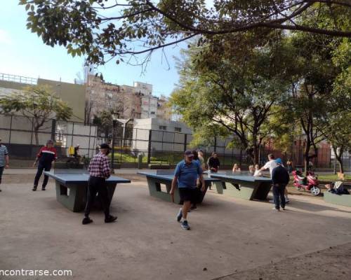 24056 7 PING PONG-Tenis de mesa