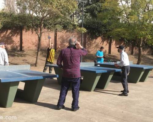 Encuentros Grupales (24/08/2021) :   PING PONG-Tenis de mesa