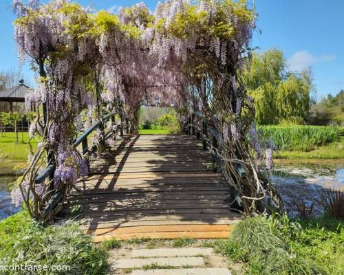 24153 12 ¡¡Primavera en el Delta!!