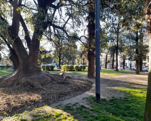 24272 5 Vení a caminar con nosotros por Devoto!