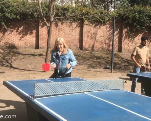 24296 2 PING PONG-Tenis de mesa