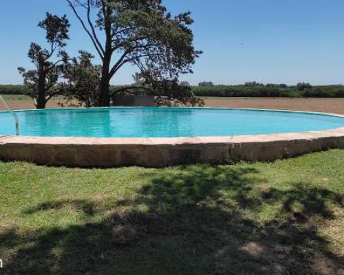 que disfrute esta pileta mirando al sudoeste  :Encuentro Grupal Arrefest