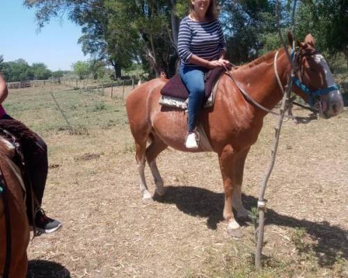 24367 13 NOS ACOMPAÑAS  UN SABADO  DE CAMPO DIFERENTE  EN    UNA  ESTANCIA EN SAN ANTONIO DE ARECO????