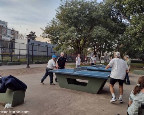 24594 11 PING PONG-Tenis de mesa