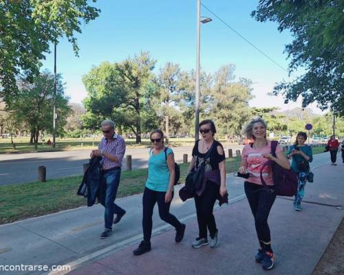 24627 8 VOLVEMOS A CAMINAR POR LOS BOSQUES DE PALERMO, NOS ACOMPAÑAS??