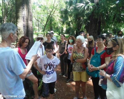 24684 4 Jornada vivencial - EL PODER CURATIVO DE LA NATURALEZA