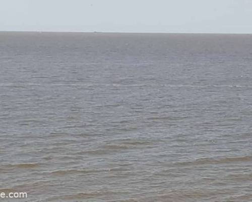 24743 12 RESERVA ECOLÓGICA COSTANERA SUR – SEGUNDA VISITA!!!