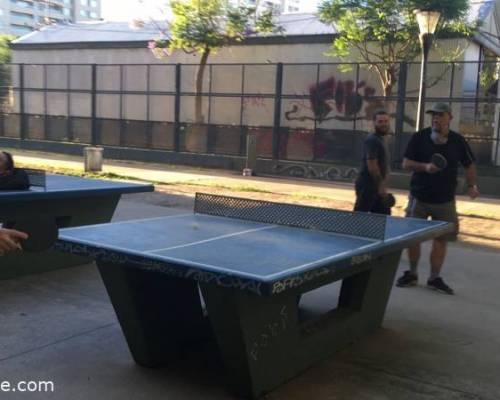 24874 3 PING PONG-Tenis de mesa