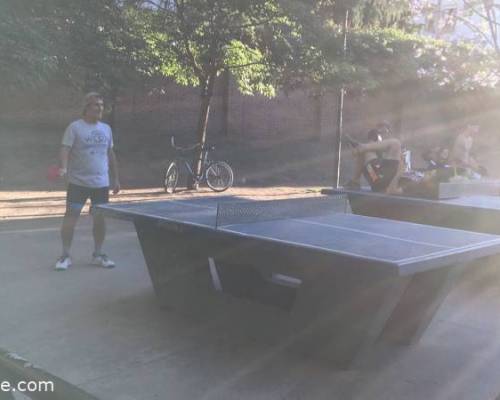 24874 7 PING PONG-Tenis de mesa