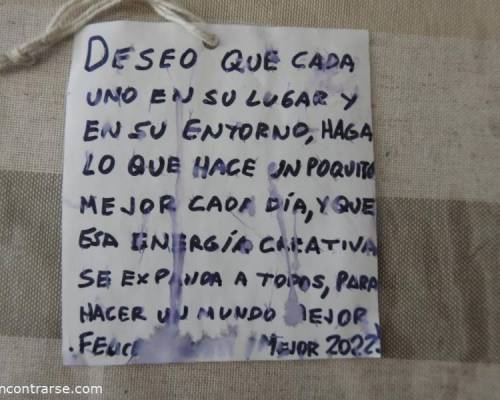 24991 40 Noche Buena juntos para que sea una excelente noche 