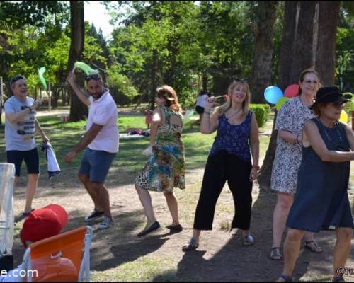 25053 8 PICNIC : JUEGOS, BAILE, KARAOKE y FESTEJOS - En Parque Avellaneda