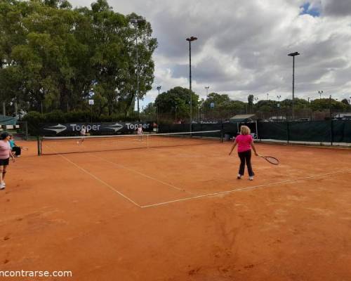 25276 1 TENIS del Domingo rodeado de verde