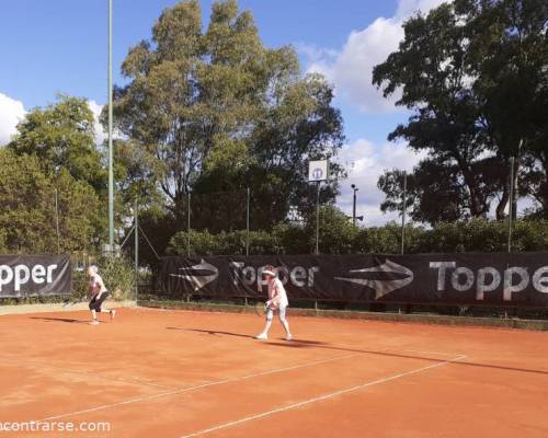 25276 12 TENIS del Domingo rodeado de verde