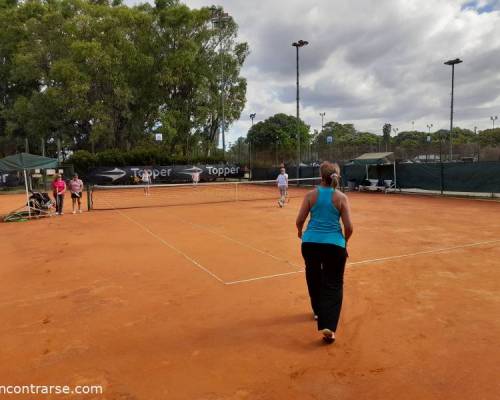 25276 2 TENIS del Domingo rodeado de verde