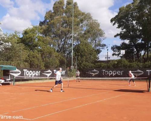 25276 20 TENIS del Domingo rodeado de verde