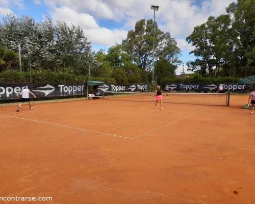 25276 5 TENIS del Domingo rodeado de verde