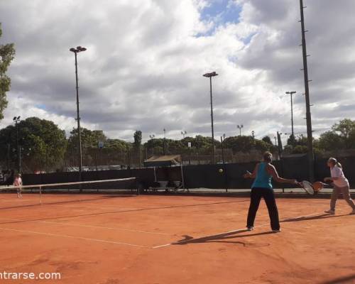 25276 6 TENIS del Domingo rodeado de verde