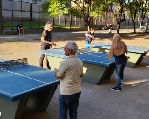 25307 1 PING PONG-Tenis de mesa