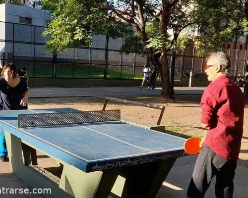 25307 11 PING PONG-Tenis de mesa