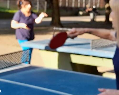 25307 2 PING PONG-Tenis de mesa